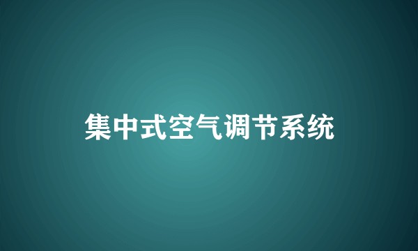 集中式空气调节系统