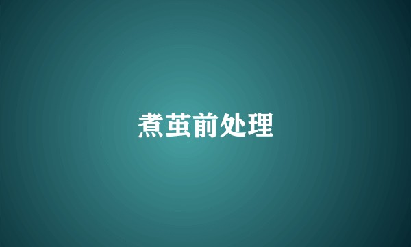煮茧前处理