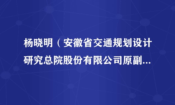 杨晓明（安徽省交通规划设计研究总院股份有限公司原副总经理（副总裁）及非独立董事）
