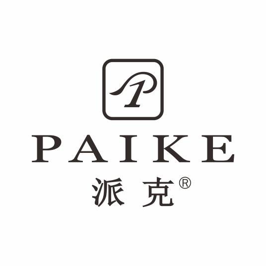 派克手表