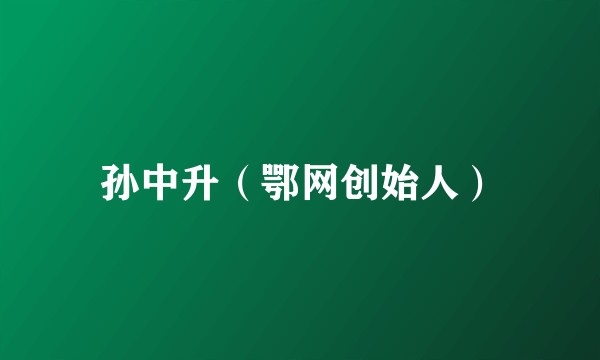 孙中升（鄂网创始人）