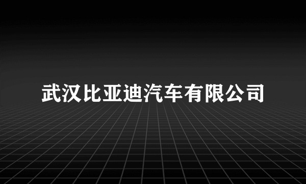 武汉比亚迪汽车有限公司