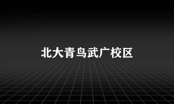 北大青鸟武广校区