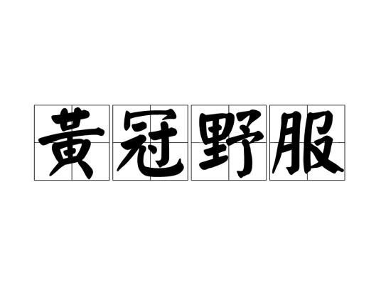 黄冠野服