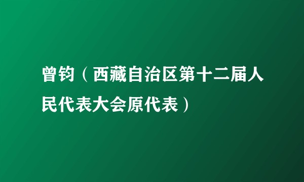 曾钧（西藏自治区第十二届人民代表大会原代表）