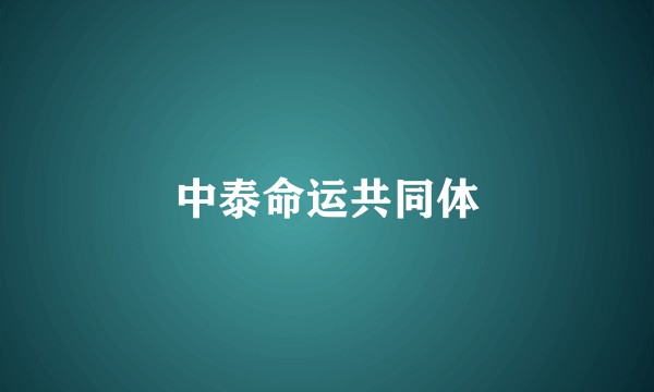 中泰命运共同体