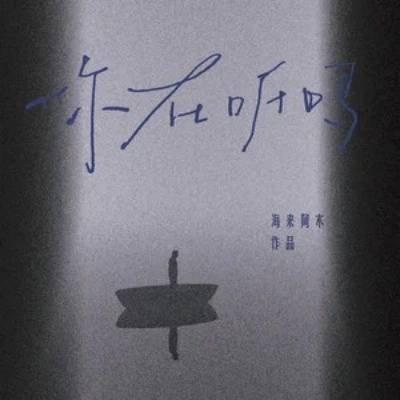 你在听吗（海来阿木2025年演唱的歌曲）
