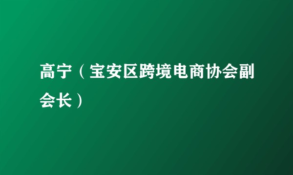 高宁（宝安区跨境电商协会副会长）
