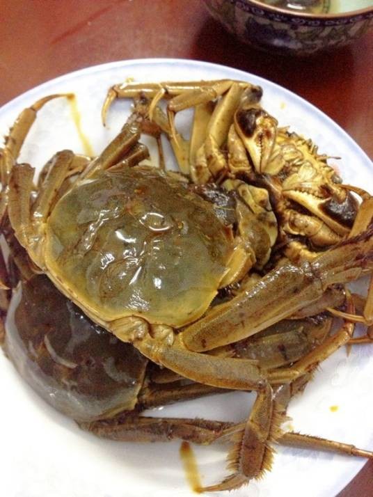 腌毛蟹