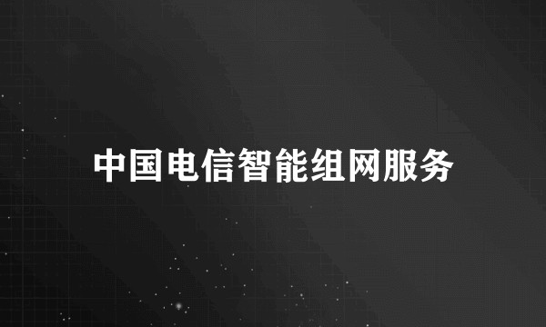 中国电信智能组网服务