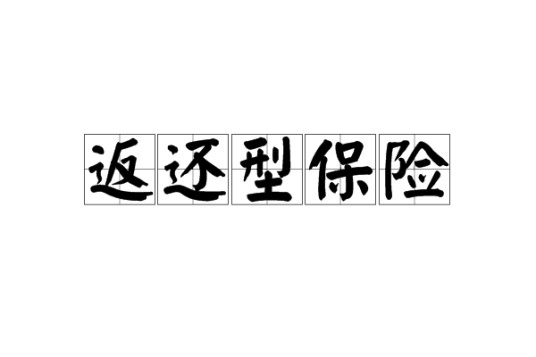 返还型保险