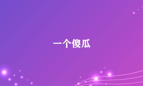 一个傻瓜