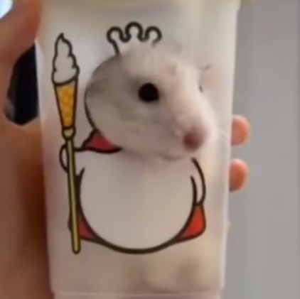 蜜鼠冰城