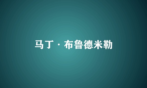 马丁·布鲁德米勒