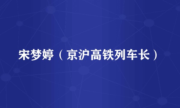 宋梦婷（京沪高铁列车长）