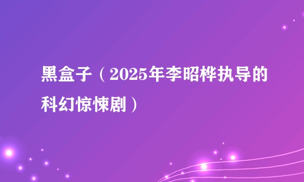 黑盒子（2025年李昭桦执导的科幻惊悚剧）