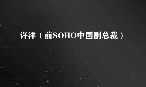许洋（前SOHO中国副总裁）