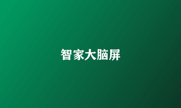 智家大脑屏