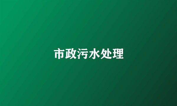 市政污水处理