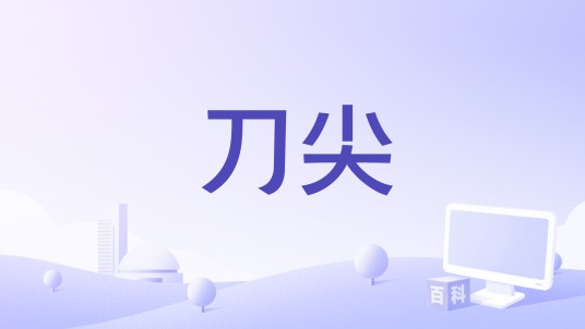 刀尖（美国2010年Jed Strahm执导的恐怖电影）