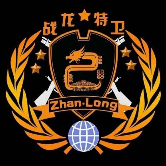 战龙特卫