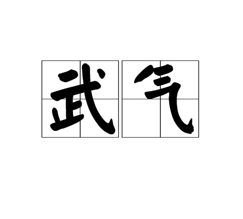 武气