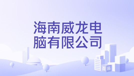 海南威龙电脑有限公司