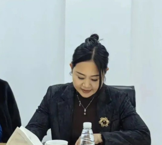 林美云（湖北龙辰科技股份有限公司董事长）