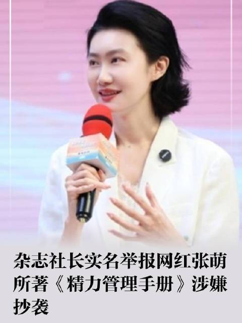 8·5张萌被举报作品涉嫌抄袭事件