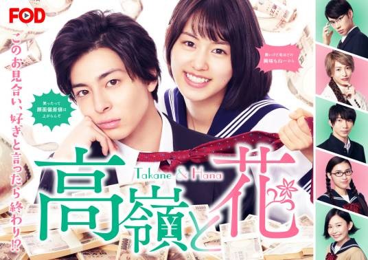 高岭与花(日本2019年高杉真宙主演电视剧)
