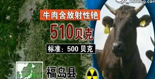 含铯牛肉