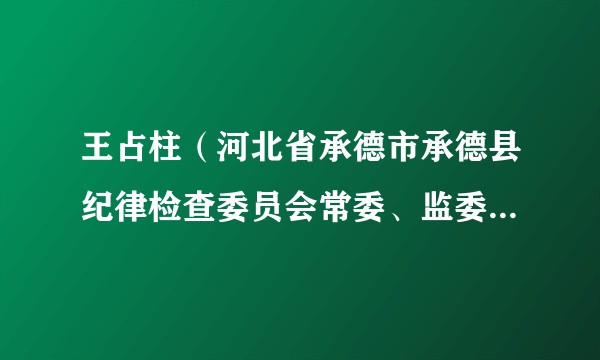 王占柱（河北省承德市承德县纪律检查委员会常委、监委委员、一级监察官）