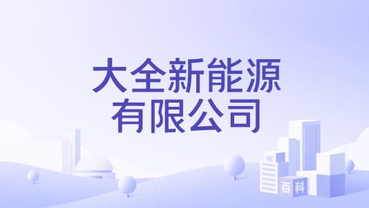大全新能源有限公司