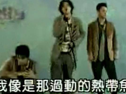 冬天的热带鱼
