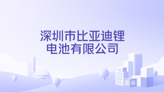 深圳市比亚迪锂电池有限公司