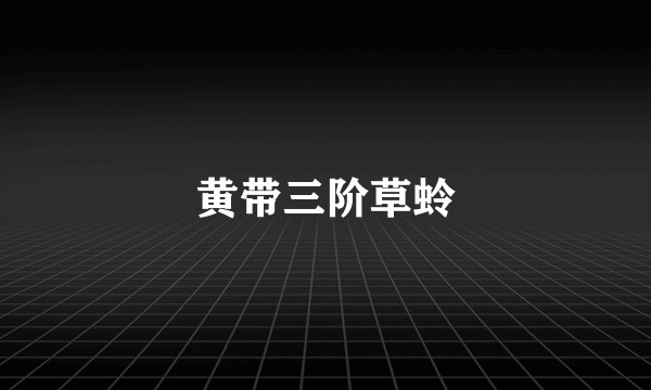 黄带三阶草蛉