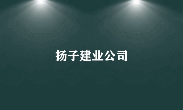 扬子建业公司