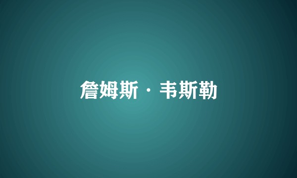 詹姆斯·韦斯勒