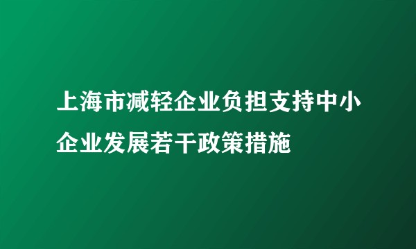 上海市减轻企业负担支持中小企业发展若干政策措施