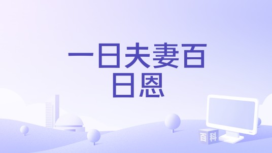 一日夫妻百日恩（佳佳演唱的歌曲）