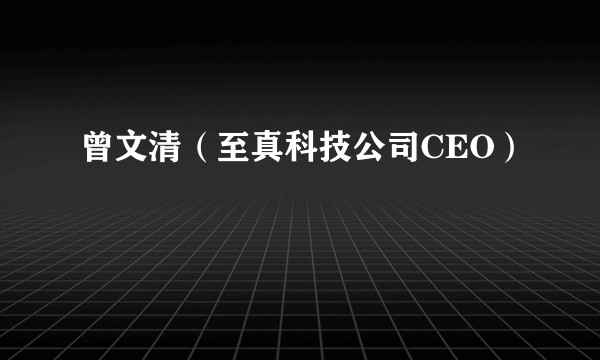 曾文清（至真科技公司CEO）