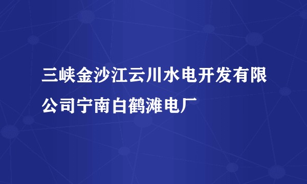 三峡金沙江云川水电开发有限公司宁南白鹤滩电厂