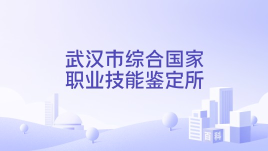 武汉市综合国家职业技能鉴定所