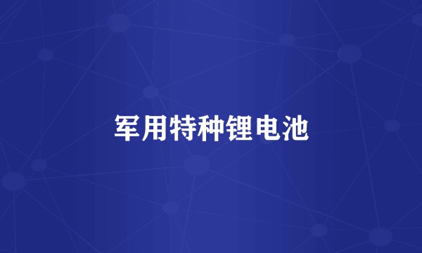 军用特种锂电池