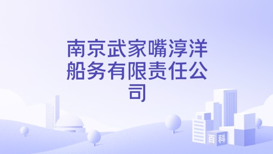 南京武家嘴淳洋船务有限责任公司