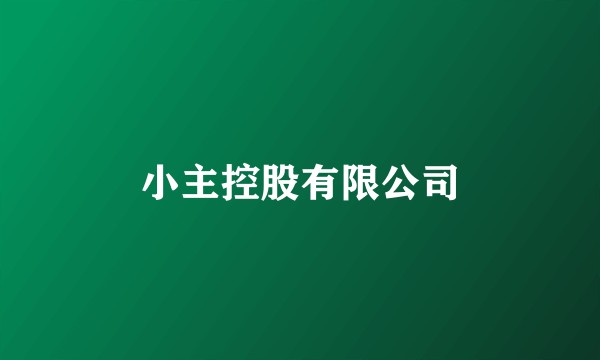 小主控股有限公司