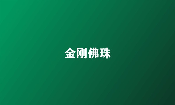 金刚佛珠