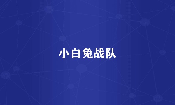 小白兔战队