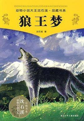 狼王梦（2009年浙江少年儿童出版社出版的图书）