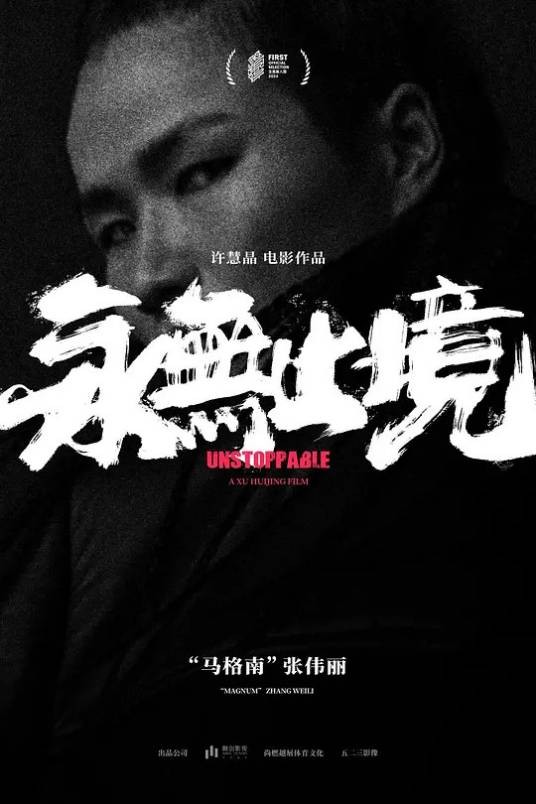 永无止境（2024年许慧晶执导的纪录片）